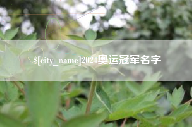 淮安2024奥运冠军名字