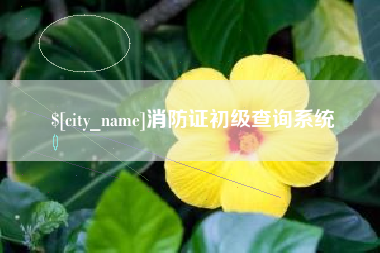 淮安消防证初级查询系统