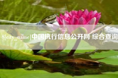 淮安中国执行信息公开网 综合查询
