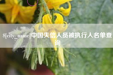 淮安中国失信人员被执行人名单查询
