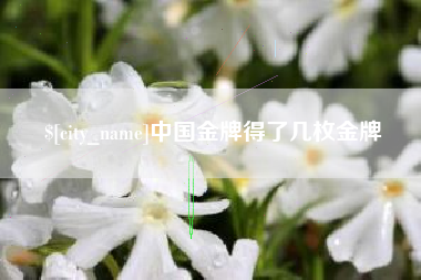 淮安中国金牌得了几枚金牌