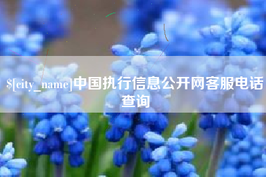 淮安中国执行信息公开网客服电话查询