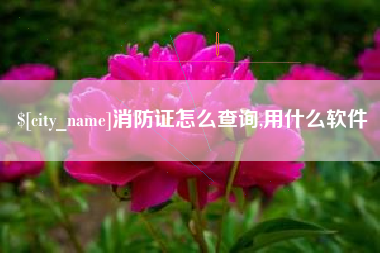 淮安消防证怎么查询,用什么软件