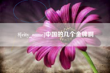淮安中国的几个金牌啊