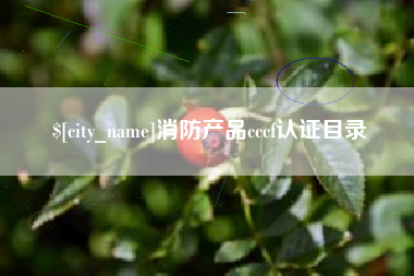 淮安消防产品cccf认证目录
