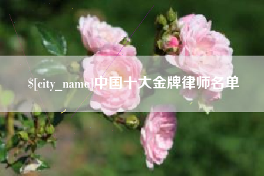淮安中国十大金牌律师名单