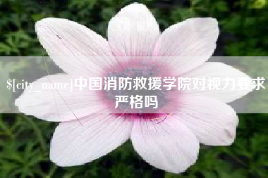 淮安中国消防救援学院对视力要求严格吗