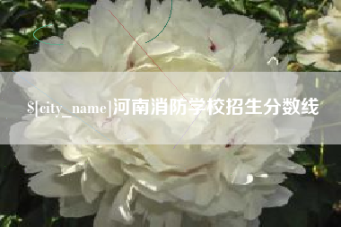 淮安河南消防学校招生分数线