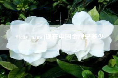 淮安现在中国金牌是多少