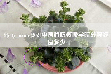 淮安2021中国消防救援学院分数线是多少