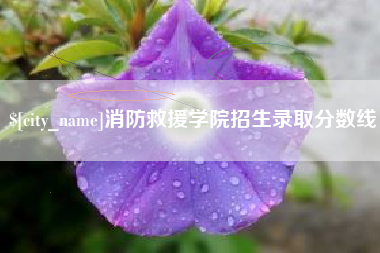淮安消防救援学院招生录取分数线