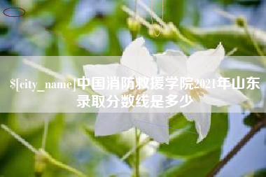 淮安中国消防救援学院2021年山东录取分数线是多少