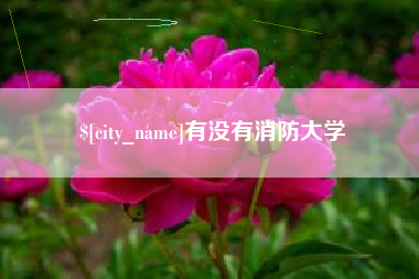 淮安有没有消防大学