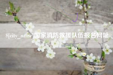 淮安国家消防救援队伍报名网址