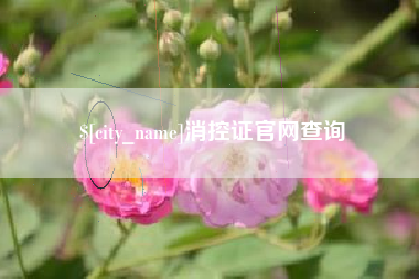淮安消控证官网查询