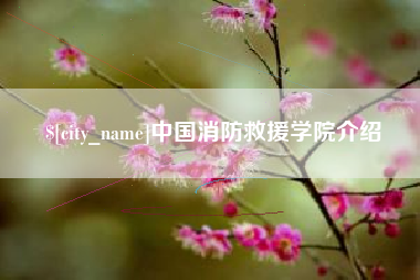 淮安中国消防救援学院介绍
