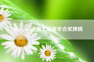 淮安第七届亚冬会奖牌榜