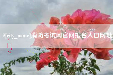 淮安消防考试网官网报名入口网址