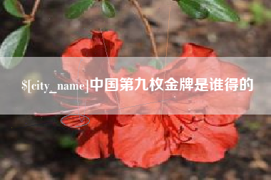 淮安中国第九枚金牌是谁得的
