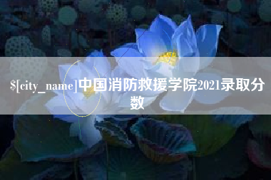 淮安中国消防救援学院2021录取分数