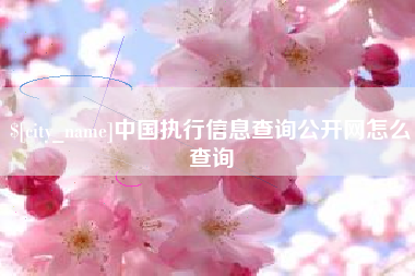 淮安中国执行信息查询公开网怎么查询