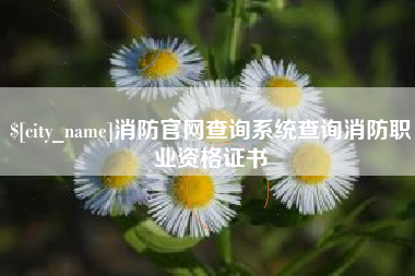 淮安消防官网查询系统查询消防职业资格证书