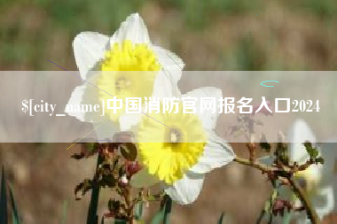 淮安中国消防官网报名入口2024