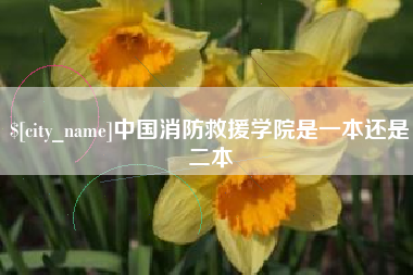 淮安中国消防救援学院是一本还是二本