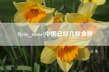 淮安中国已经几枚金牌