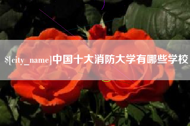 淮安中国十大消防大学有哪些学校