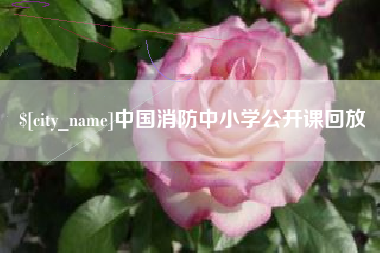 淮安中国消防中小学公开课回放