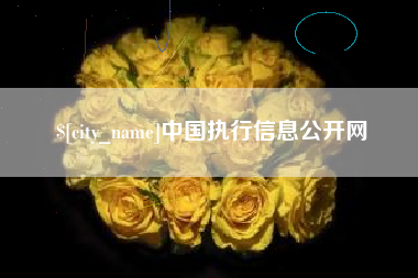 淮安中国执行信息公开网