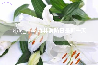 淮安森林消防日是哪一天