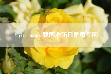 淮安我国消防日是每年的