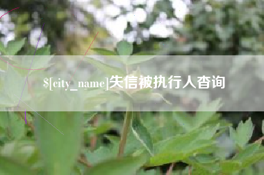 淮安失信被执行人杳询
