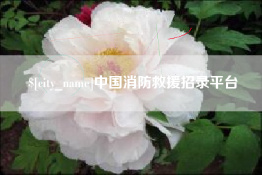 淮安中国消防救援招录平台