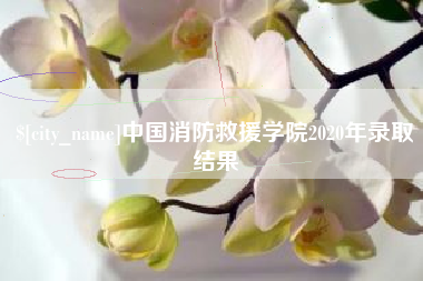 淮安中国消防救援学院2020年录取结果