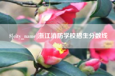 淮安浙江消防学校招生分数线