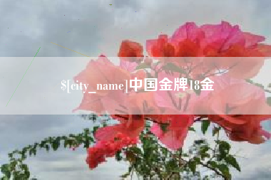 淮安中国金牌18金