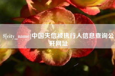 淮安中国失信被执行人信息查询公开网址