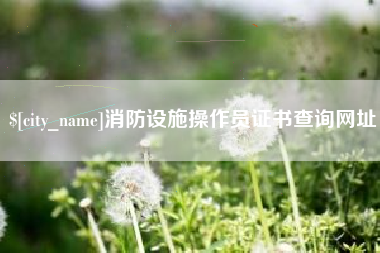 淮安消防设施操作员证书查询网址
