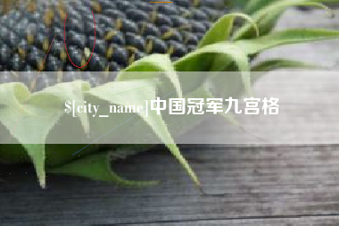 淮安中国冠军九宫格