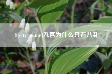 淮安九宫为什么只有八卦