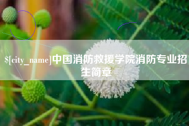 淮安中国消防救援学院消防专业招生简章