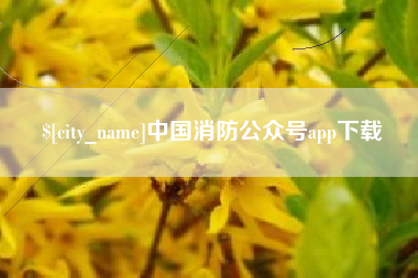 淮安中国消防公众号app下载
