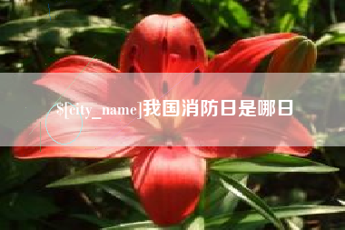 淮安我国消防日是哪日