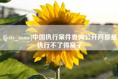 淮安中国执行案件查询公开网都是执行不了得案子