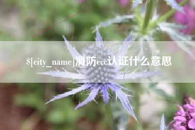 淮安消防ccc认证什么意思