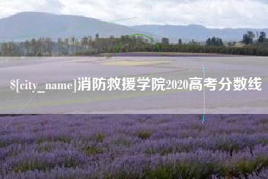 淮安消防救援学院2020高考分数线