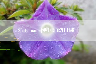 淮安全国消防日哪一